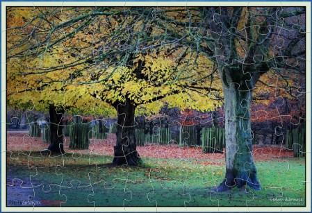 Autumnal Colours at Dunham Park