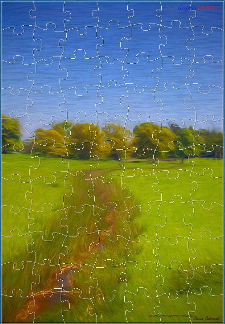 JIGSAW - BLUES AND GREENS - THE RABY REEDY WATERWAY JIGSAW - BLUES AND GREENS - THE RABY REEDY WATERWAY
