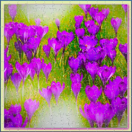 JIGSAW - THE CROCUS IN SONG JIGSAW - THE CROCUS IN SONG