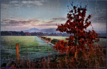 JIGSAW - FROM COPPER BEECH TO VICTORIA TOWER JIGSAW - FROM COPPER BEECH TO VICTORIA TOWER