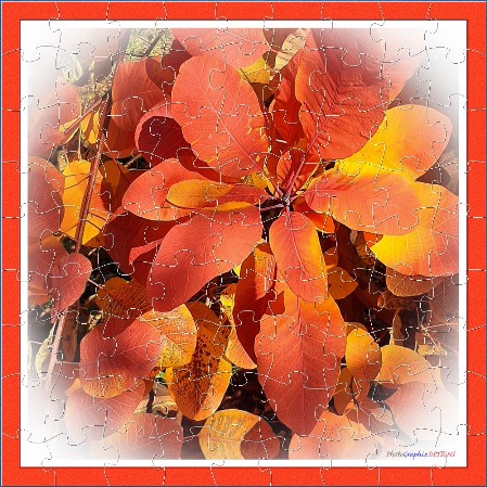 JIGSAW - THE SMOKE TREE JIGSAW - THE SMOKE TREE