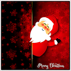 JIGSAW - SANTA PEEPS OUT JIGSAW - SANTA PEEPS OUT